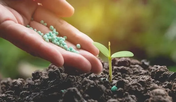 Sustainable Farming in India: How Biofertilizers Are Changing the Game
